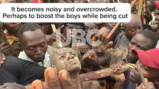 IMBALU RITUAL CIRCUMCISION LAUNCHED IN MBALE MUTOTO GROUNDS [upl. by Ysirhc]