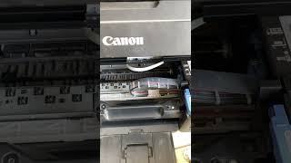 canon G2010G3010g4010 Power clean without PC [upl. by Refinej]