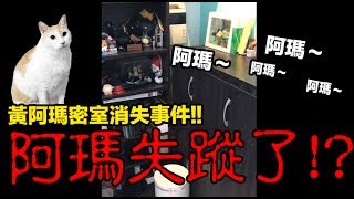 【黃阿瑪的後宮生活】阿瑪失蹤了？密室消失事件！ [upl. by Nylarat]