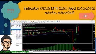 how to add indicator in MT4 sinhala [upl. by Catha]