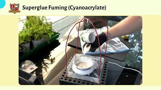 Cyanoacrylate Fuming  Fingerprint Development Method [upl. by Angelita193]