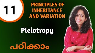 PLEIOTROPY  PRINCIPLES OF INHERITANCE AND VARIATION NCERT NEET BIOLOGY 12 MALAYALAM [upl. by Ertha]