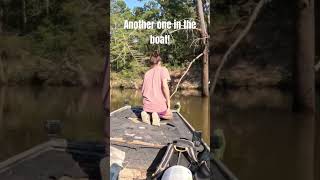 Another one fishing fishnfunoutdoors boat adventurousfins fyp pov goodvibes goodtimes [upl. by Lathan370]