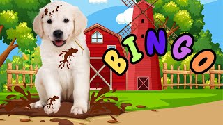 BINGO  Nursery Rhymes amp Kids Songs  Baby Song  Izzys Learning Club [upl. by Kazim21]