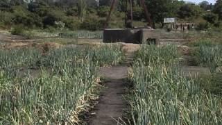 Meilleur planification agricole au Senegal avec lappui de lUSAID [upl. by Stephen]