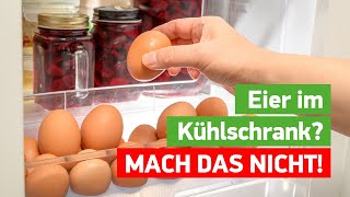 DESHALB solltest du Eier NIEMALS in der Kühlschranktür aufbewahren💥Wusstest du es 🤯 [upl. by Jenni]