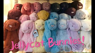 Jellycat bashful Bunny Bunny Bunnies New colors I got recently Cinnamon Coral Beau Aqua Blossom [upl. by Vonnie69]