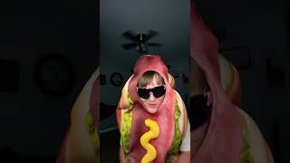 Hot Diggity dog funny music [upl. by Kcirrek484]