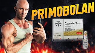 Primobolan Steroid Cycle  Before amp After Results Dosage Side Effects [upl. by Llehsyar388]