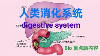 中文版］F4 Bio C9 Digestive System [upl. by Ibbob239]