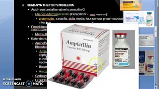 Pharmacology 789 b Semi Synthetic Penicillin Phenoxy methyl Cloxacillin ampicillin amoxicillin [upl. by Enyalaj]