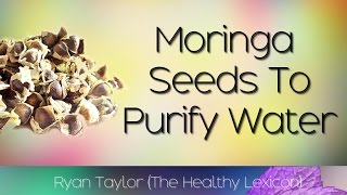 Moringa Seeds Purify Water [upl. by Namwob365]