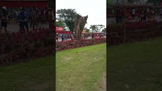 Lae Morobe show 2024 [upl. by Anjanette]