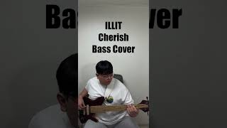 ILLIT Cherish Bass Cover [upl. by Lilhak9]