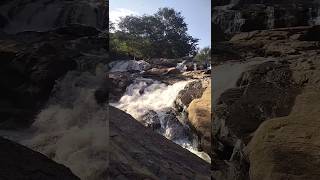 Vellimalai Kaviyam falls  வெள்ளிமலை கவியம் அருவி  kallakurichi vellimalai falls [upl. by Nireves]