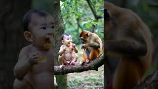 Monkey takes baby to steal honey to eat [upl. by Lorry]