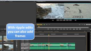 Premiere Pro Basics CS6 above 21 Timeline Trimming [upl. by Hsina485]