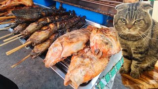 BEST Cheap amp Delicious Thailand Street Food [upl. by Liahus]