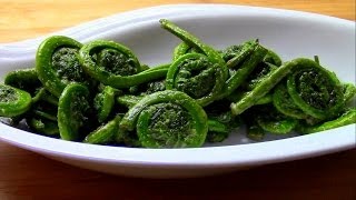 Wild Food Foraging Fern Fiddleheads in the Spring [upl. by Okramed]