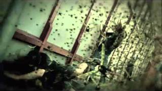 Machine Head  Locust OFFICIAL VIDEO [upl. by Lorou]