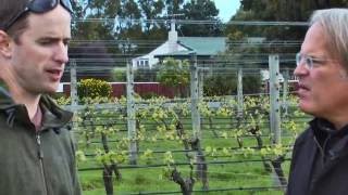 JAMESSUCKLINGCOM  New Zealand  The Wines of Martinborough [upl. by Cherish]