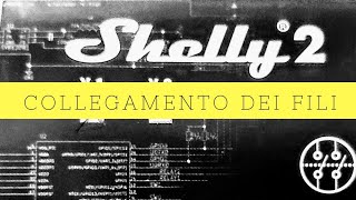 Shelly 2 collegamento dei fili per punti luce e tapparella elettrica [upl. by Iggy]