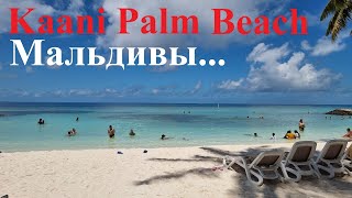 Маафуши quotKaan Palm Beachquot снорклинг немного острова [upl. by Balcer]