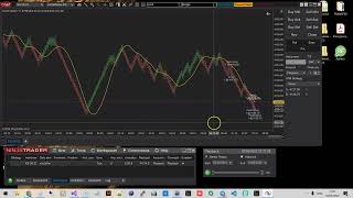 NinzaRenko Bars Automatic Trade Entry Helper for NinjaTrader 8  NinjaCoding [upl. by Suzette]