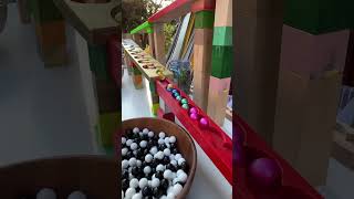 Marble run race ☆ HABA colorful wooden slope circular slope amp pink ball and wooden bowl 8 asmr [upl. by Lledniuq]