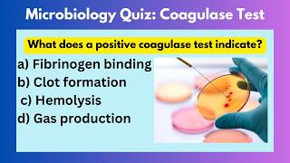 Microbiology Quiz  Microbiology mcqs questions and answers  Coagulase Test microbiology [upl. by Vullo]