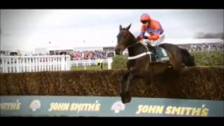 Sprinter Sacre Tribute  Dare To Be Different [upl. by Patrica496]