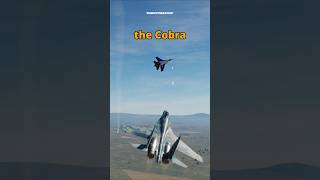 Cobra Button Wins the Dogfight dcs simulation [upl. by Lokcin]