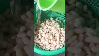 Minatamis na Beans recipe  dessert pinoy fyp beans food shorts [upl. by Innig]