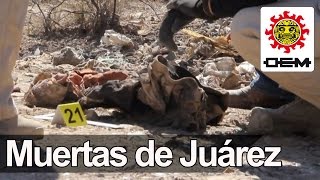 La incesante búsqueda de las quotmuertas de Juárezquot [upl. by Isawk]