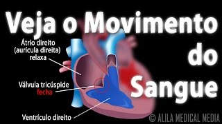 Trajeto do Fluxo Sanguíneo pelo Coração Animação Alila Medical Media Português [upl. by Gagnon]