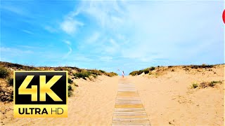 Oostduinkerke Belgium 🇧🇪 beach Promenade walk  4K 60FPS [upl. by Gan]