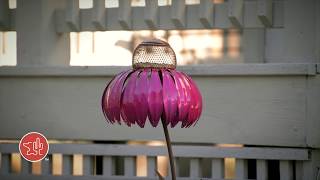 Coneflower Bird Feeders [upl. by Anidam]