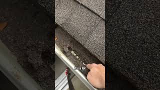 Gutter art roofing homeinspector homeinspection [upl. by Barmen747]