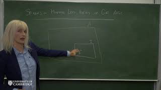 Spinors ideals and algebraic black holes Video 514 [upl. by Chaim]