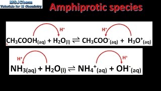 81 Amphiprotic species SL [upl. by Sonitnatsnok732]