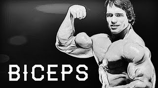 BODYBUILDING MOTIVATION  BICEPS [upl. by Starobin]