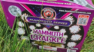 Mammoth Crackle 10 shots [upl. by Arlyn]