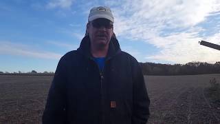 WISCONSIN GREG HULLING AND CLEANING BLACK WALNUTS [upl. by Arhsub907]