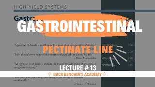 USMLE STEP 1  Pectinate line  Gastrointestinal  13  First Aid in UrduHindi [upl. by Yttig]