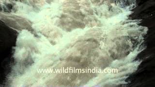 Roaring splashes of Vattaparai Falls [upl. by Firooc293]