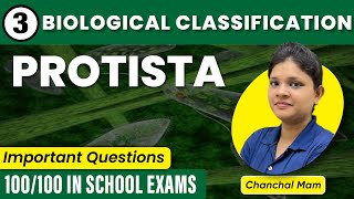 Protista  Most Important Questions Part  3  Class 11 Biology  KELVIN NEET [upl. by Granlund]