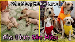 Mùa đông không lạnh  Quà tặng của bố Củ Cải và dì Kim Chi cho 2 đứa con nhỏ [upl. by Anek]