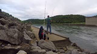 Ben amp I score 10 pound Stripers at Melton Hill Dam [upl. by Annehsat]