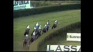 1984 213 Premio BIARRITZ Hándicap EIRIÑA SPA 1980 yeguada Arnús [upl. by Lavena]