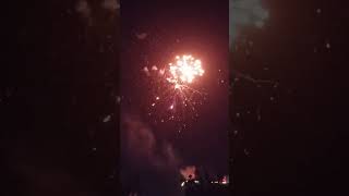 Happy Diwali all friends tranding short real video [upl. by Ojimmas]